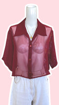 Cropped • T. 36 à 42 • Chemise transparente bordeaux